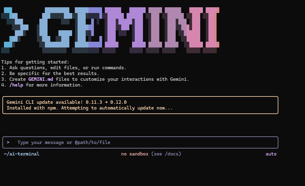 gemini im terminal